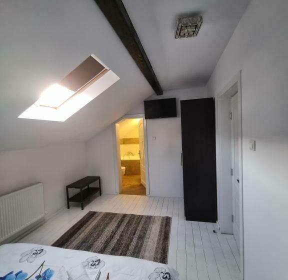 デラックスルーム, Moldi Muzeu