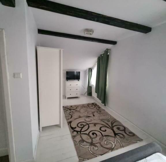 デラックスルーム, Moldi Muzeu