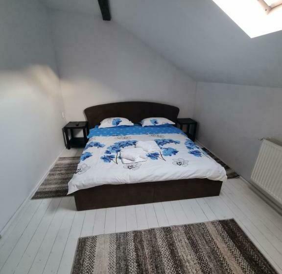 デラックスルーム, Moldi Muzeu