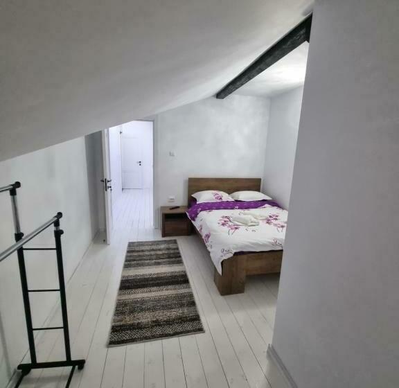 デラックスルーム, Moldi Muzeu