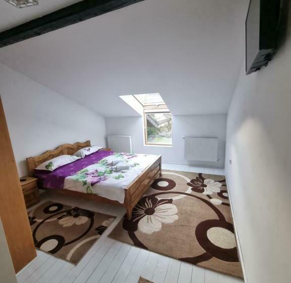 スタンダードルーム, Moldi Muzeu