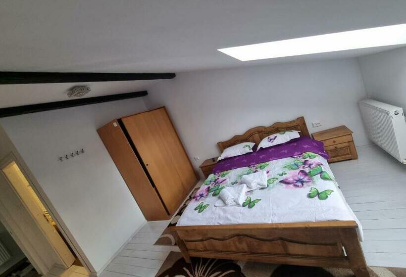 スタンダードルーム, Moldi Muzeu