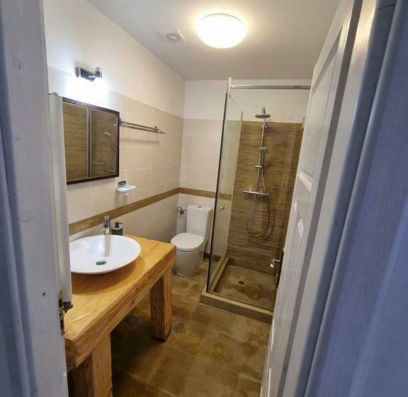 スタンダードルーム, Moldi Muzeu