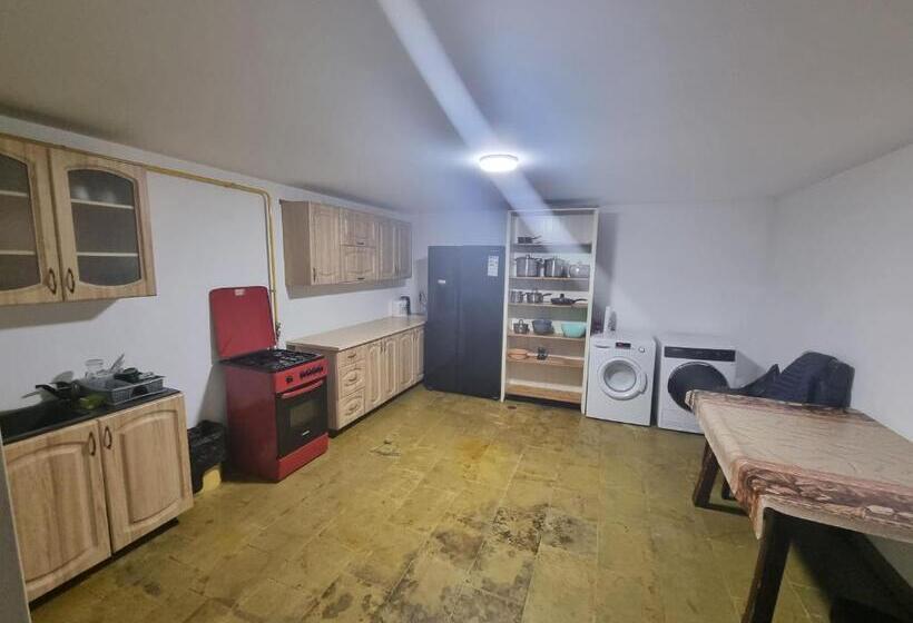 デラックスルーム, Moldi Muzeu