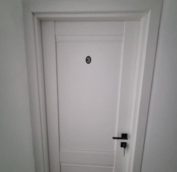 Номер Стандарт, Moldi Muzeu