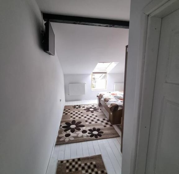 スタンダードルーム, Moldi Muzeu