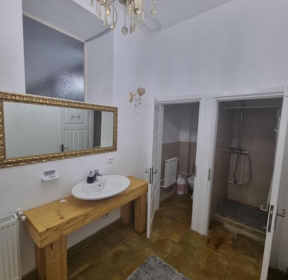 デラックスルーム, Moldi Muzeu