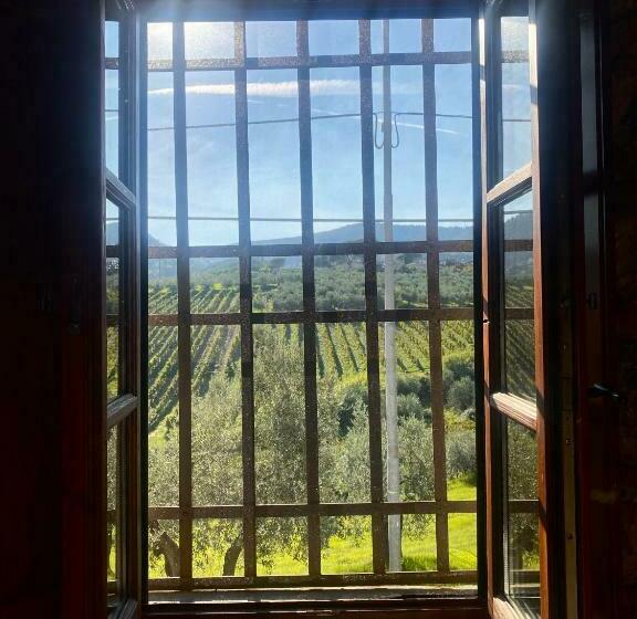 Номер Стандарт, Room In Bb  Alessio Room Overlooking The Vineyards Of Tuscany