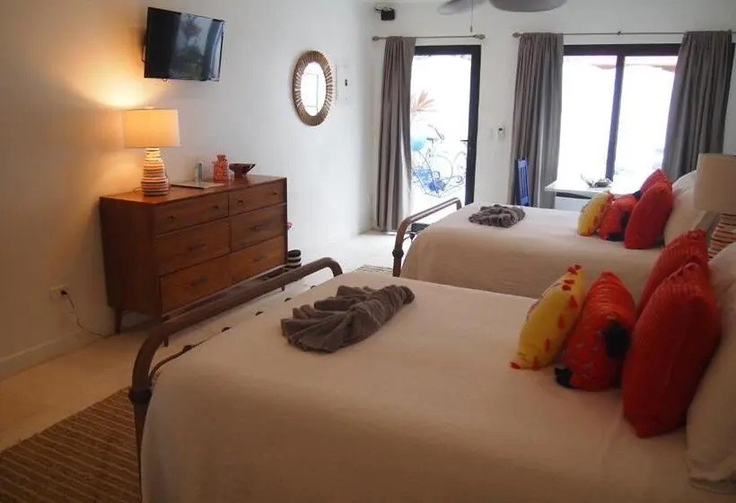 Deluxe Neljän Hengen Huone, Casa Vitality Bed And Breakfast   Playa Guiones, Nosara   4 Minute Walk To The Beach