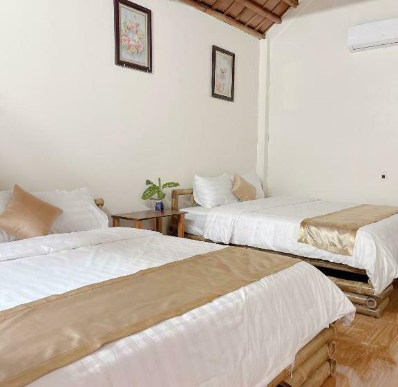 اتاق لوکس, Downtown Backpacker Hostel