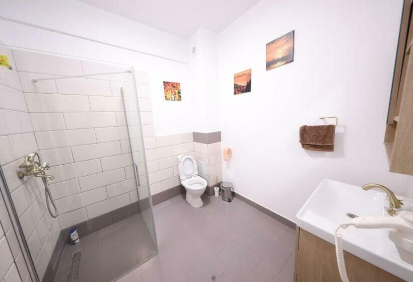 标准间, Casa Cojocaru