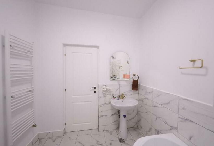 标准间, Casa Cojocaru