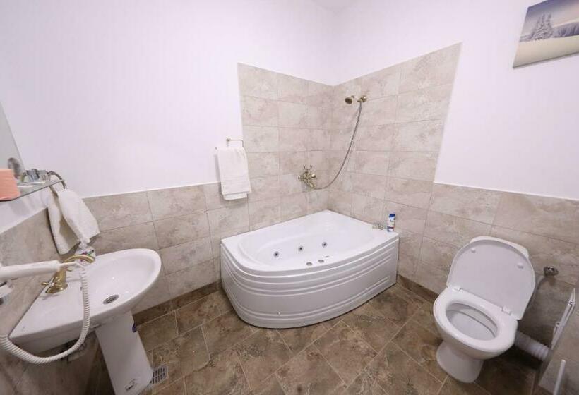 标准间, Casa Cojocaru