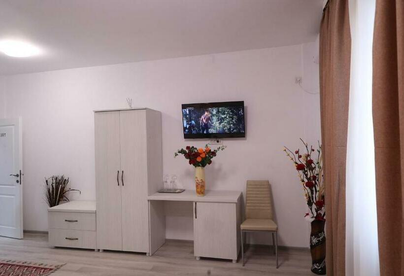 اتاق استاندارد, Casa Cojocaru
