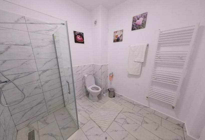 标准间, Casa Cojocaru