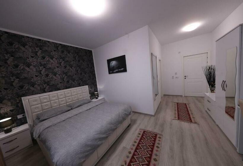 标准间, Casa Cojocaru