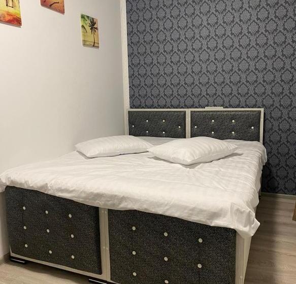 标准间, Casa Cojocaru