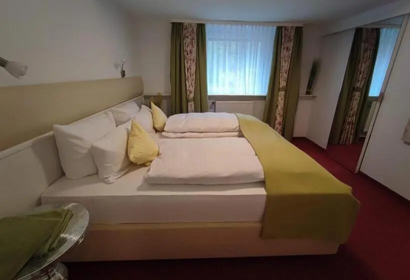 １ベッドルームアパートメント, Room In Guest Room   Pension Forelle   Doppelzimmer