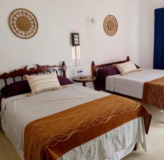 スタンダードルーム, Casa Terracota