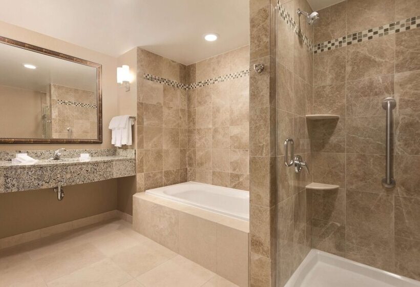 Люкс Кровать Кинг, Hilton Garden Inn Falls Church