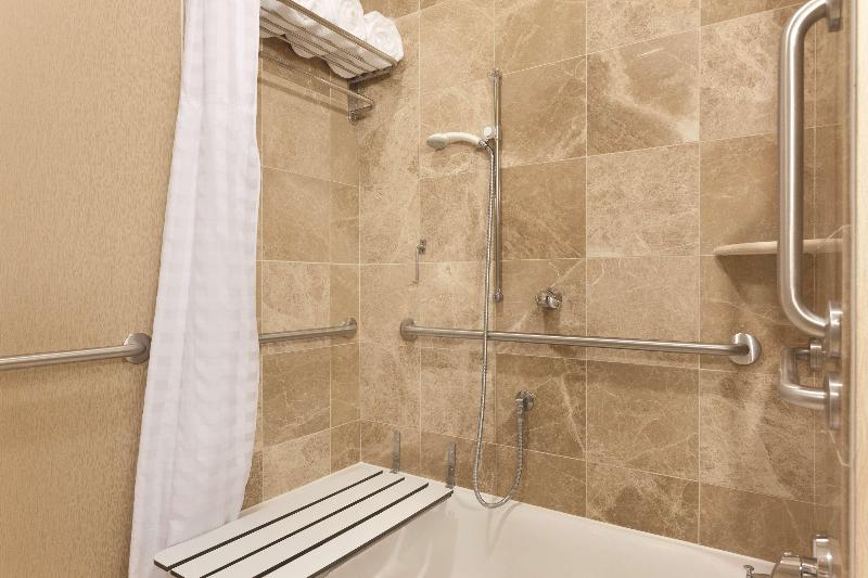 带大床的套房, Hilton Garden Inn Falls Church