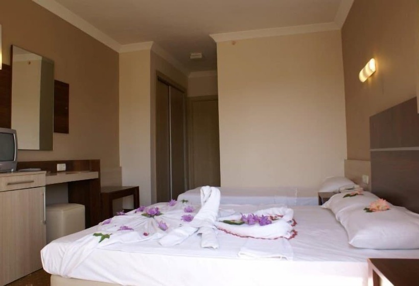 标准间, Magic Sun