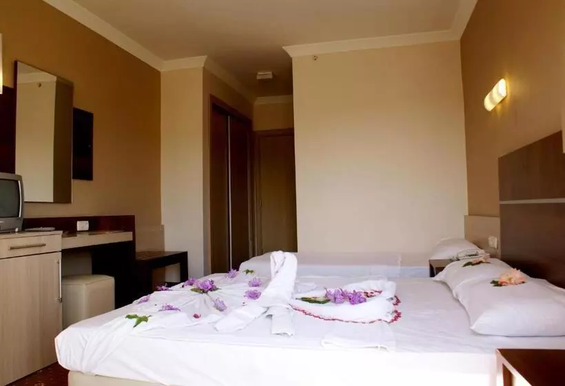 Quarto Economy, Magic Sun