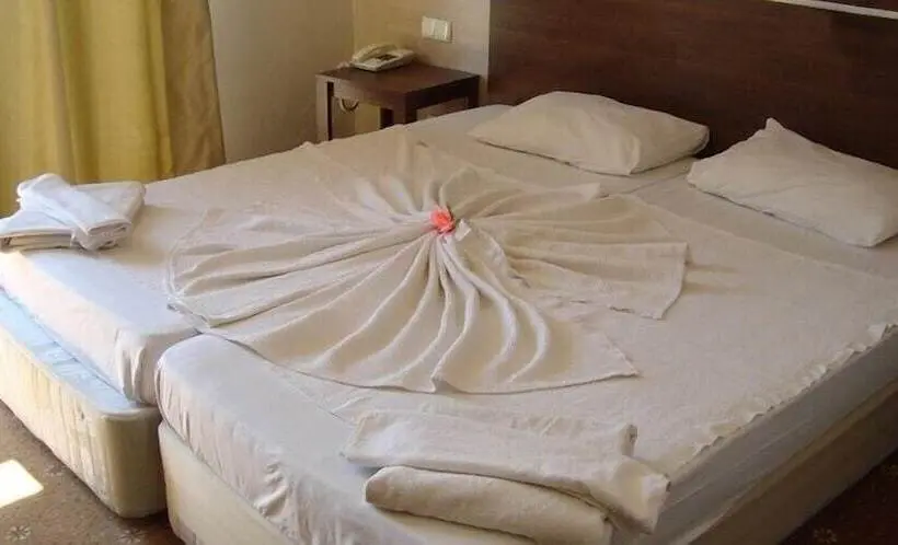 Quarto Economy, Magic Sun