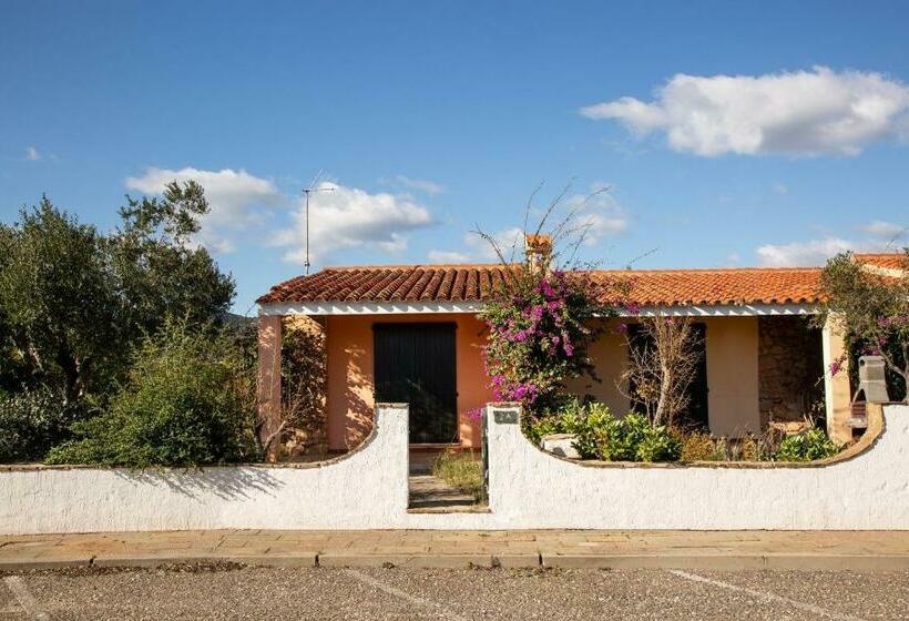 آپارتمان 1 خوابه همکف, Residence Il Melograno