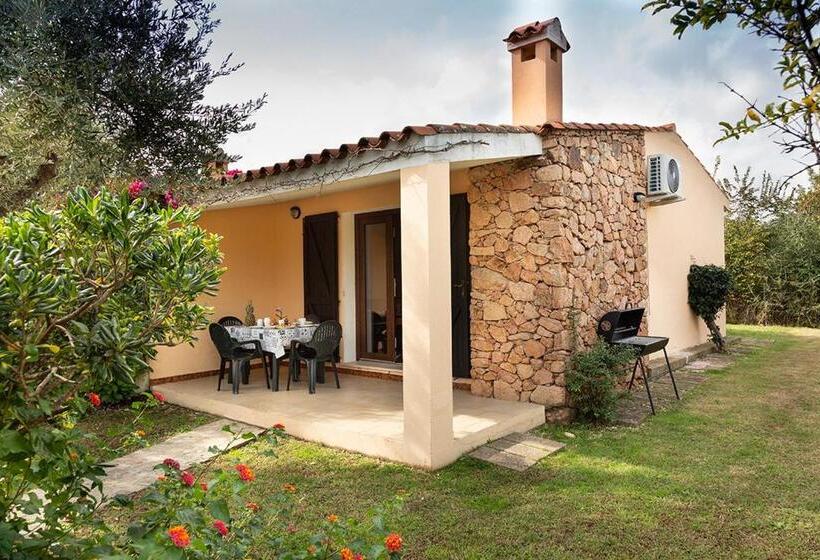 آپارتمان سوپریور 1 خوابه, Residence Il Melograno