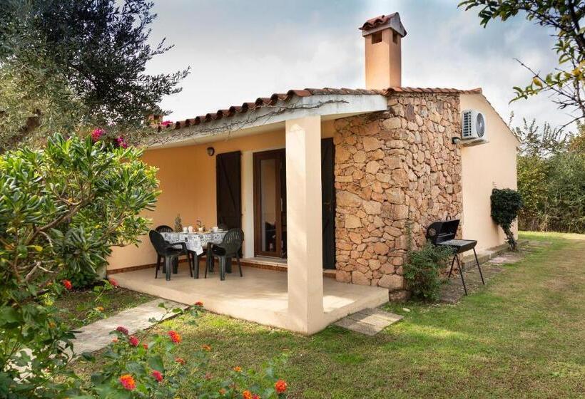 آپارتمان سوپریور 1 خوابه, Residence Il Melograno