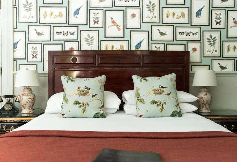 Номер Superior, The Ayrlington Guesthouse