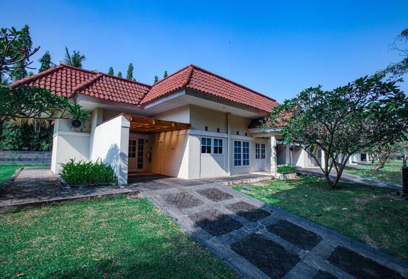 小型套房, The Royale Krakatau