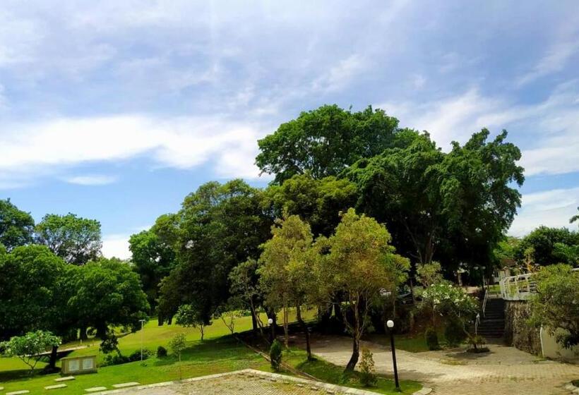 اتاق اجرایی با تخت بزرگ, The Royale Krakatau