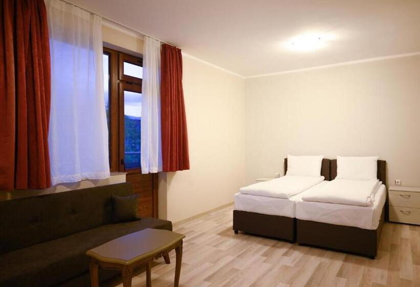 חדר סופריור, Leda