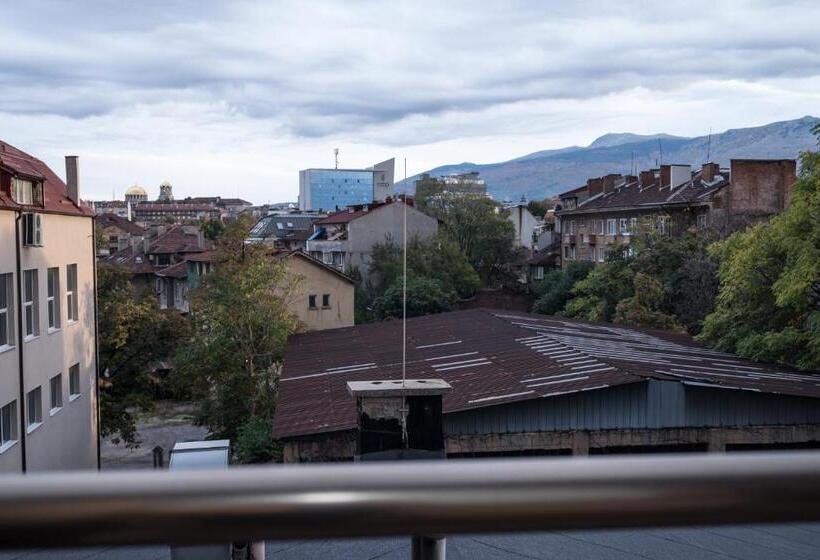 חדר סופריור, Leda