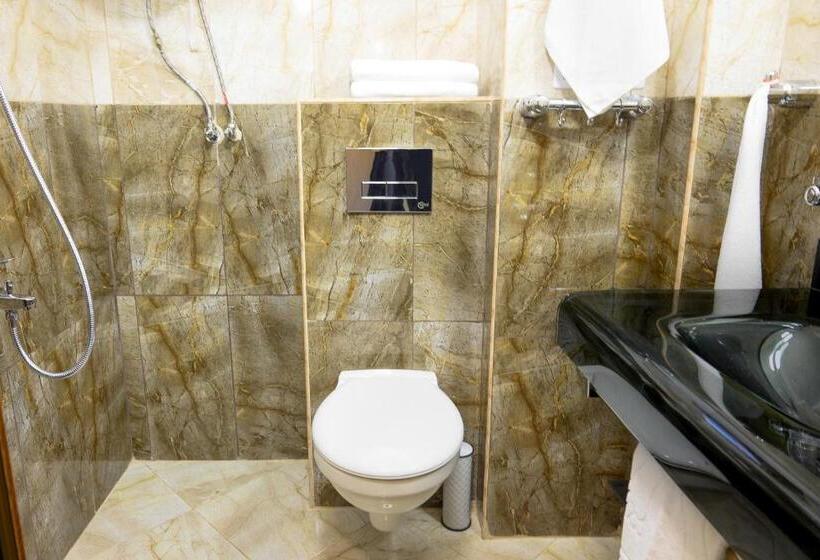 חדר סטנדרט, Leda