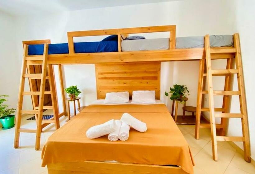 اتاق استاندارد چهار تخته, Ocean Life Dahab