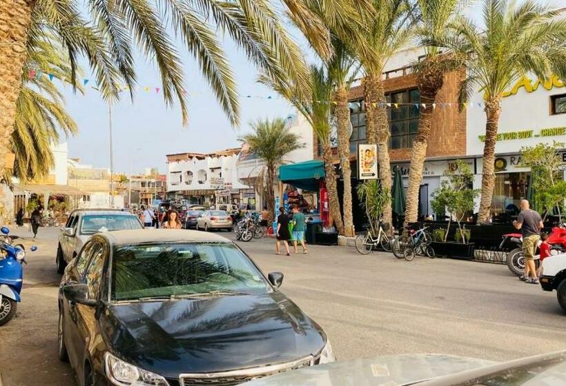 اتاق استاندارد چهار تخته, Ocean Life Dahab