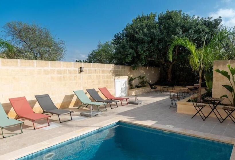 Suite with Terrace, The Carob Tree