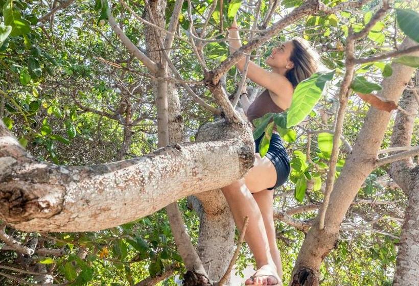 标准单人间, Tatajuba Hostel Casa Pascual