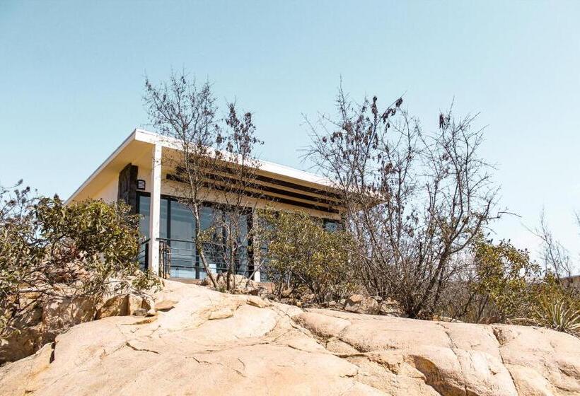 جناح جونيور مزوَّد بشرفة, Oasis 444