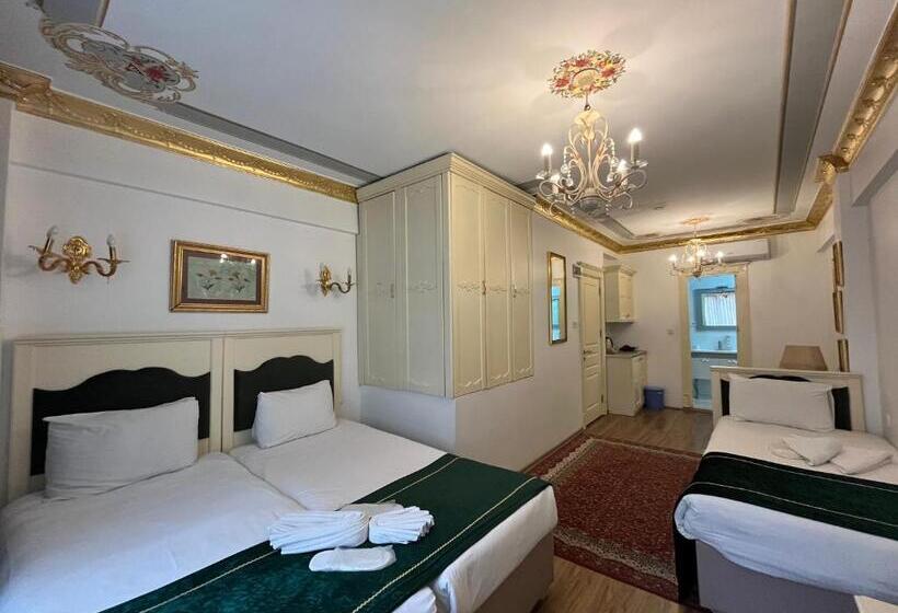 آپارتمان لوکس 1 خوابه, Saffron Hotel Old City