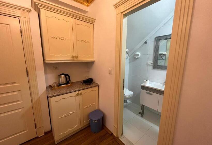 آپارتمان لوکس 1 خوابه, Saffron Hotel Old City