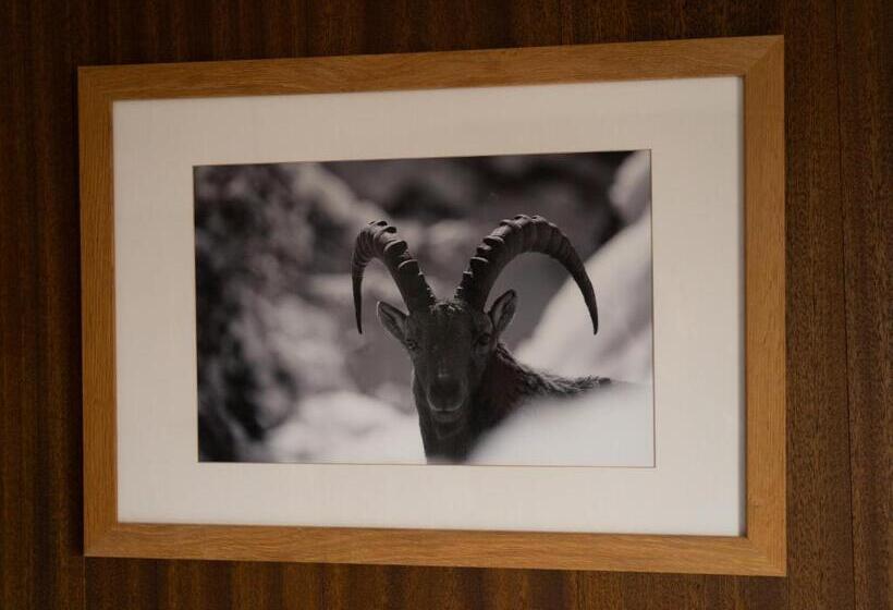 Номер Стандарт, Les Chamois