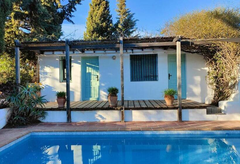Номер Стандарт Вид на Бассейн, Cortijo Vacas Gordas B&b