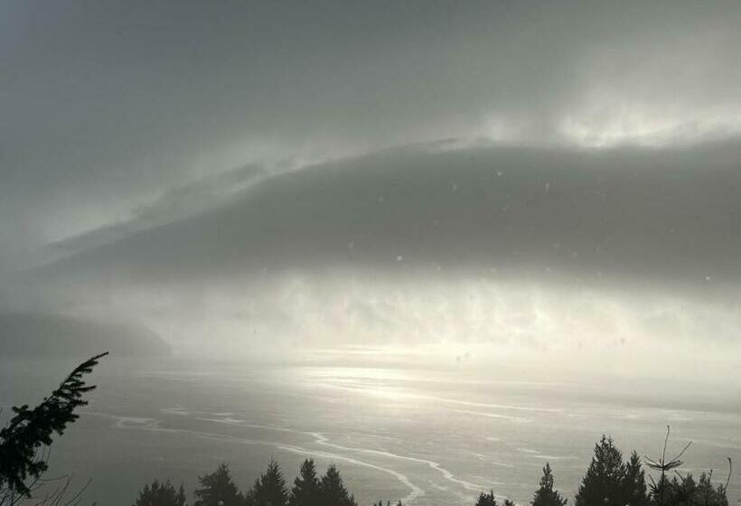オーシャンビュースーペリアースイート, Vancouver Sea View Palace Inn
