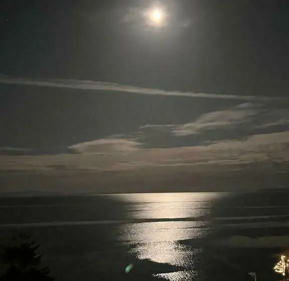 オーシャンビュースーペリアースイート, Vancouver Sea View Palace Inn