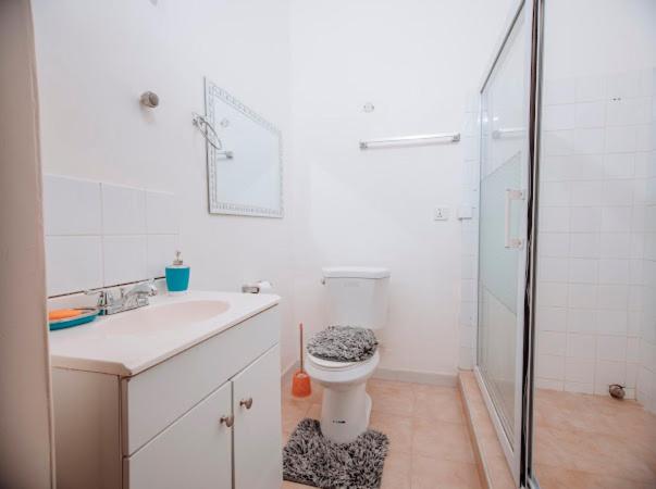 استودیو استاندارد با تخت کینگ, Bethel Suites