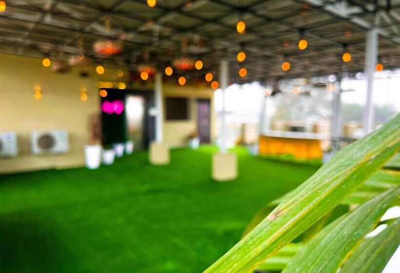 豪华房间, The कस्तूरी